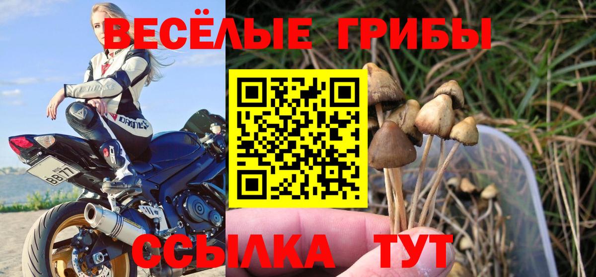 Псилоцибиновые грибы ЛСД  Псилоцибиновые грибы мухоморы  Норильск  Вход с VPN 